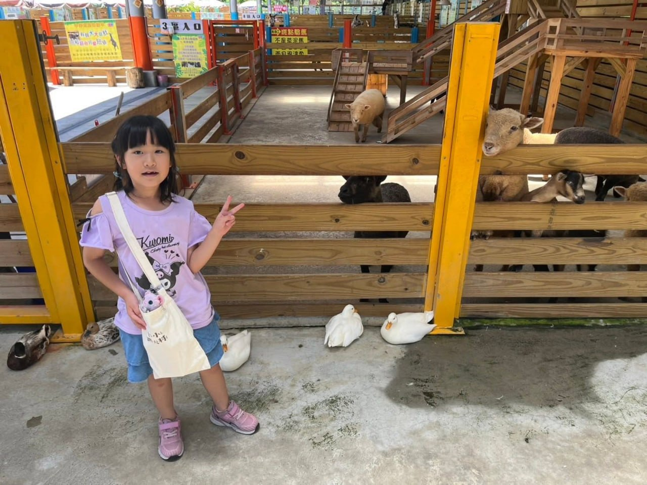 孩子在牧場與羊群和鴨子開心合照